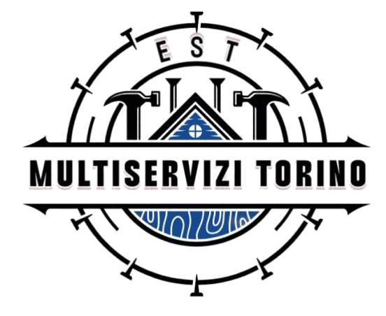 Multiservizi Torino